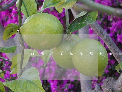 信用社贷款逾期不还会怎样 信用社贷款逾期不还会怎样