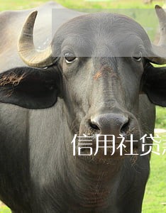 信用社贷款逾期不还后果 信用社贷款逾期不还后果