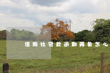 信用社贷款逾期两条怎么办 信用社贷款逾期两条怎么办