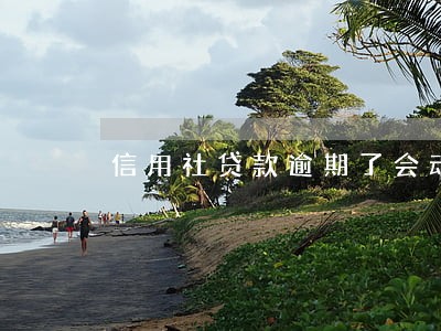 信用社贷款逾期了会动家产吗 信用社贷款逾期了会动家产吗