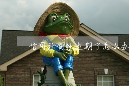 信用社贷款逾期了怎么办 信用社贷款逾期了怎么办