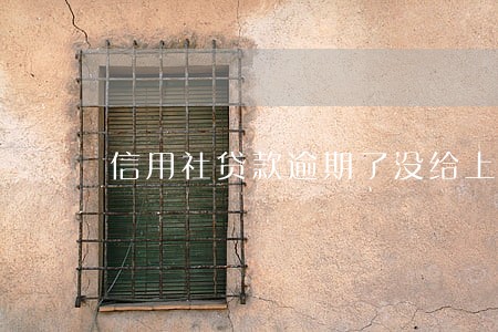 信用社贷款逾期了没给上征信 信用社贷款逾期了没给上征信