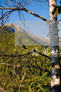 信用社贷款逾期会解除合同吗 信用社贷款逾期会解除合同吗