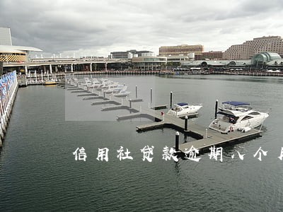 信用社贷款逾期八个月还上 信用社贷款逾期八个月还上