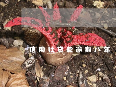 信用社贷款逾期八年