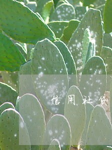 信用社贷款逾期几天上征信 信用社贷款逾期几天上征信
