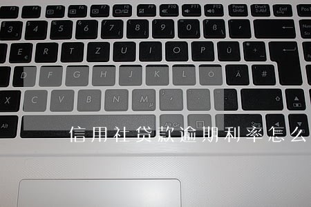 信用社贷款逾期利率怎么算 信用社贷款逾期利率怎么算