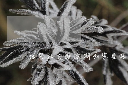 信用社贷款逾期到家要账 信用社贷款逾期到家要账