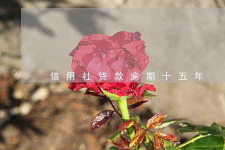 信用社贷款逾期十五年 信用社贷款逾期十五年