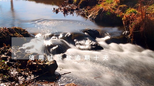 信用社贷款逾期十天 信用社贷款逾期十天