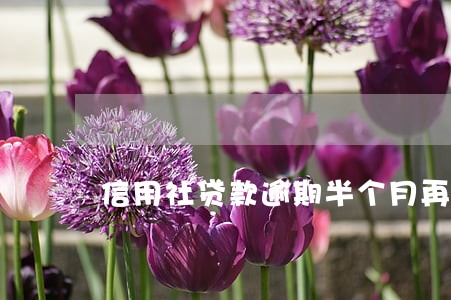 信用社贷款逾期半个月再贷 信用社贷款逾期半个月再贷