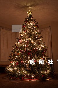 信用社贷款逾期半个月怎么办 信用社贷款逾期半个月怎么办