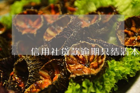信用社贷款逾期只结清本金 信用社贷款逾期只结清本金