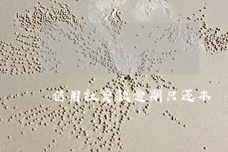 信用社贷款逾期只还本 信用社贷款逾期只还本