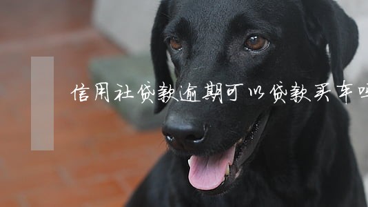 信用社贷款逾期可以贷款买车吗 信用社贷款逾期可以贷款买车吗