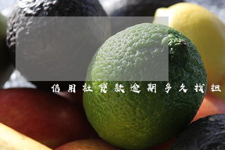信用社贷款逾期多久找担保人 信用社贷款逾期多久找担保人