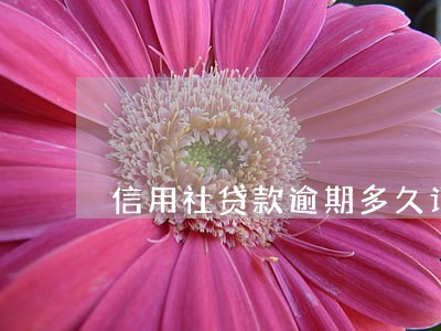 信用社贷款逾期多久记入征信 信用社贷款逾期多久记入征信