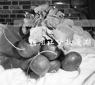 信用社贷款逾期多长时间算不良 信用社贷款逾期多长时间算不良