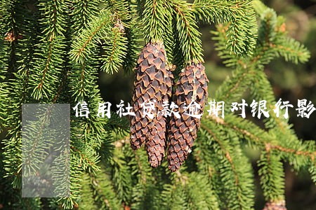 信用社贷款逾期对银行影响吗 信用社贷款逾期对银行影响吗