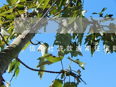 信用社贷款逾期征信吗 信用社贷款逾期征信吗