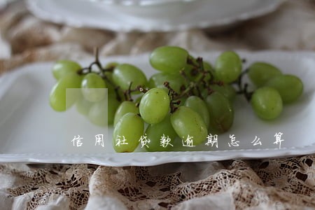 信用社贷款逾期怎么算 信用社贷款逾期怎么算