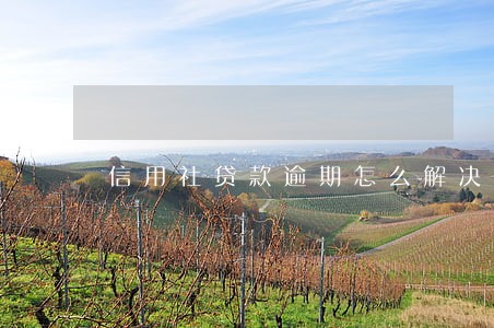 信用社贷款逾期怎么解决 信用社贷款逾期怎么解决