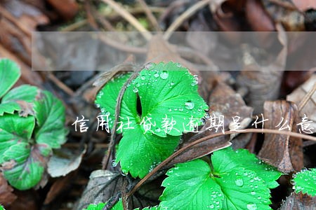 信用社贷款逾期是什么意思 信用社贷款逾期是什么意思
