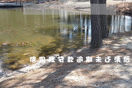信用社贷款逾期未还清后果 信用社贷款逾期未还清后果