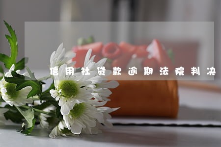 信用社贷款逾期法院判决 信用社贷款逾期法院判决