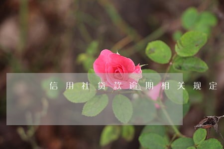 信用社贷款逾期相关规定 信用社贷款逾期相关规定