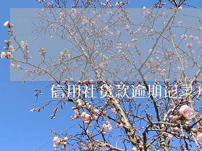 信用社贷款逾期记录方式 信用社贷款逾期记录方式