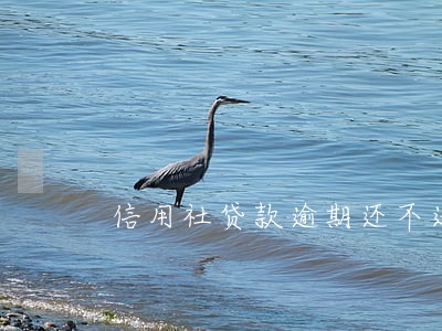 信用社贷款逾期还不进去 信用社贷款逾期还不进去
