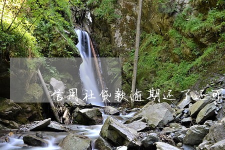 信用社贷款逾期还了还可以贷吗