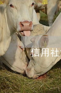 信用社贷款逾期还款要去签字吗 信用社贷款逾期还款要去签字吗