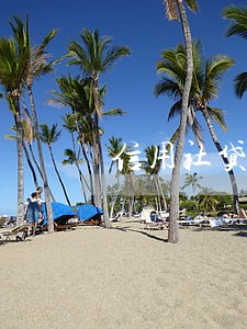信用社贷逾期怎么解决 信用社贷逾期怎么解决