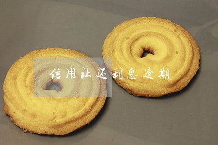 信用社还利息逾期 信用社还利息逾期