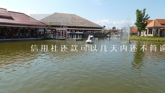 信用社还款可以几天内还不算逾期 信用社还款可以几天内还不算逾期