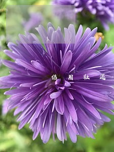 信用社还款日当天还算逾期吗 信用社还款日当天还算逾期吗