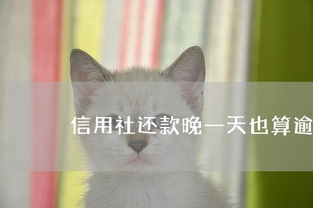 信用社还款晚一天也算逾期吗 信用社还款晚一天也算逾期吗
