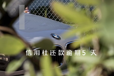 信用社还款逾期5天 信用社还款逾期5天