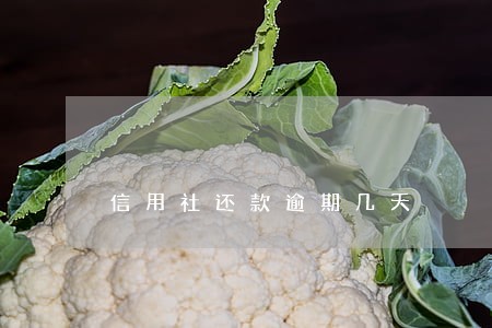 信用社还款逾期几天 信用社还款逾期几天
