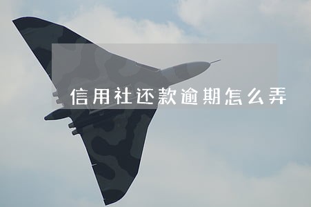 信用社还款逾期怎么弄 信用社还款逾期怎么弄