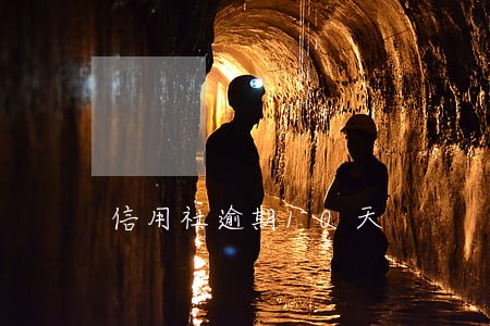 信用社逾期10天 信用社逾期10天