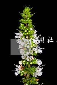 信用社逾期2天没事了 信用社逾期2天没事了