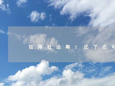 信用社逾期5还了还可以贷出来吗