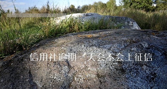 信用社逾期一天会不会上征信 信用社逾期一天会不会上征信