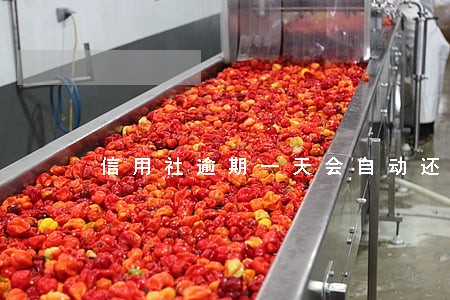 信用社逾期一天会自动还款吗 信用社逾期一天会自动还款吗
