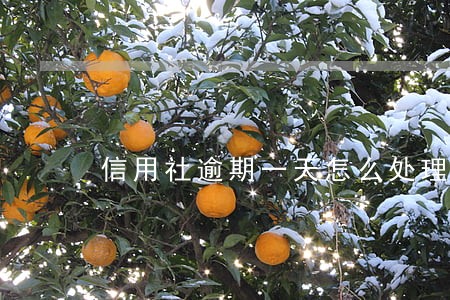 信用社逾期一天怎么处理 信用社逾期一天怎么处理