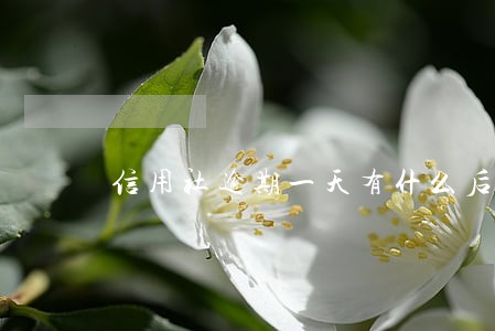 信用社逾期一天有什么后果 信用社逾期一天有什么后果