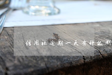 信用社逾期一天有什么影响 信用社逾期一天有什么影响